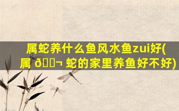 属蛇养什么鱼风水鱼zui
好(属 🐬 蛇的家里养鱼好不好)